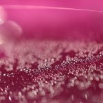 a close up of water droplets on a pink background