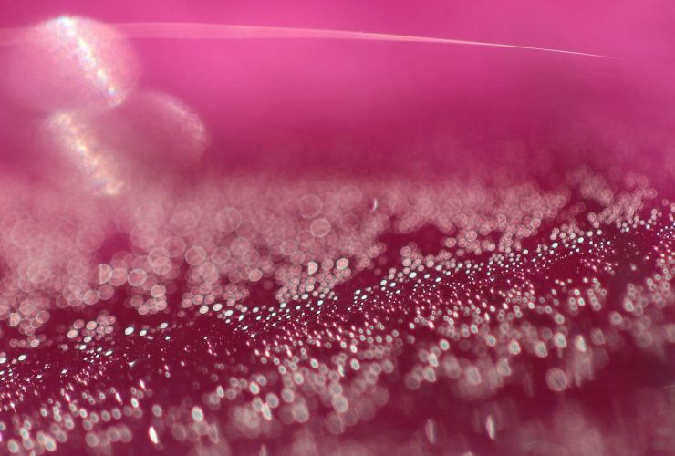 a close up of water droplets on a pink background