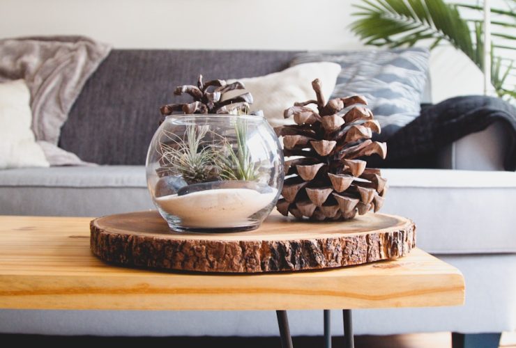 clear fishbowl beside pine cones on brown wooden table